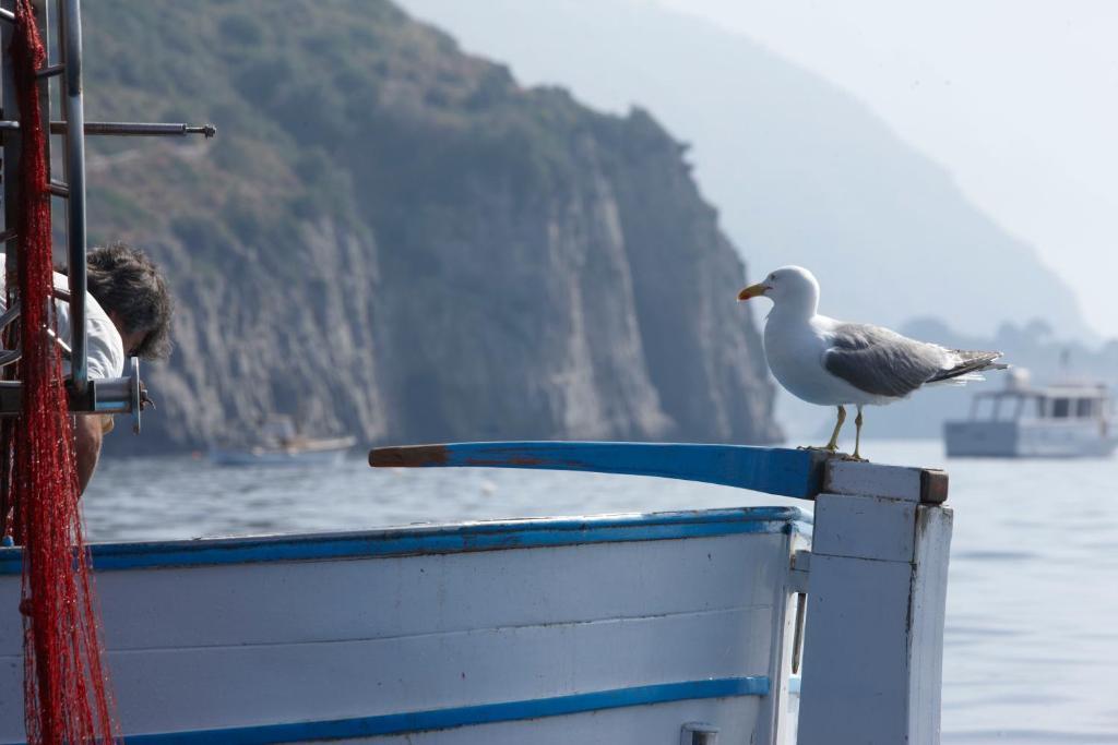 Taverna Del Capitano Marina del Cantone Екстериор снимка